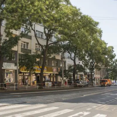Péči o pražská stromořadí jsme předali Technické správě komunikací