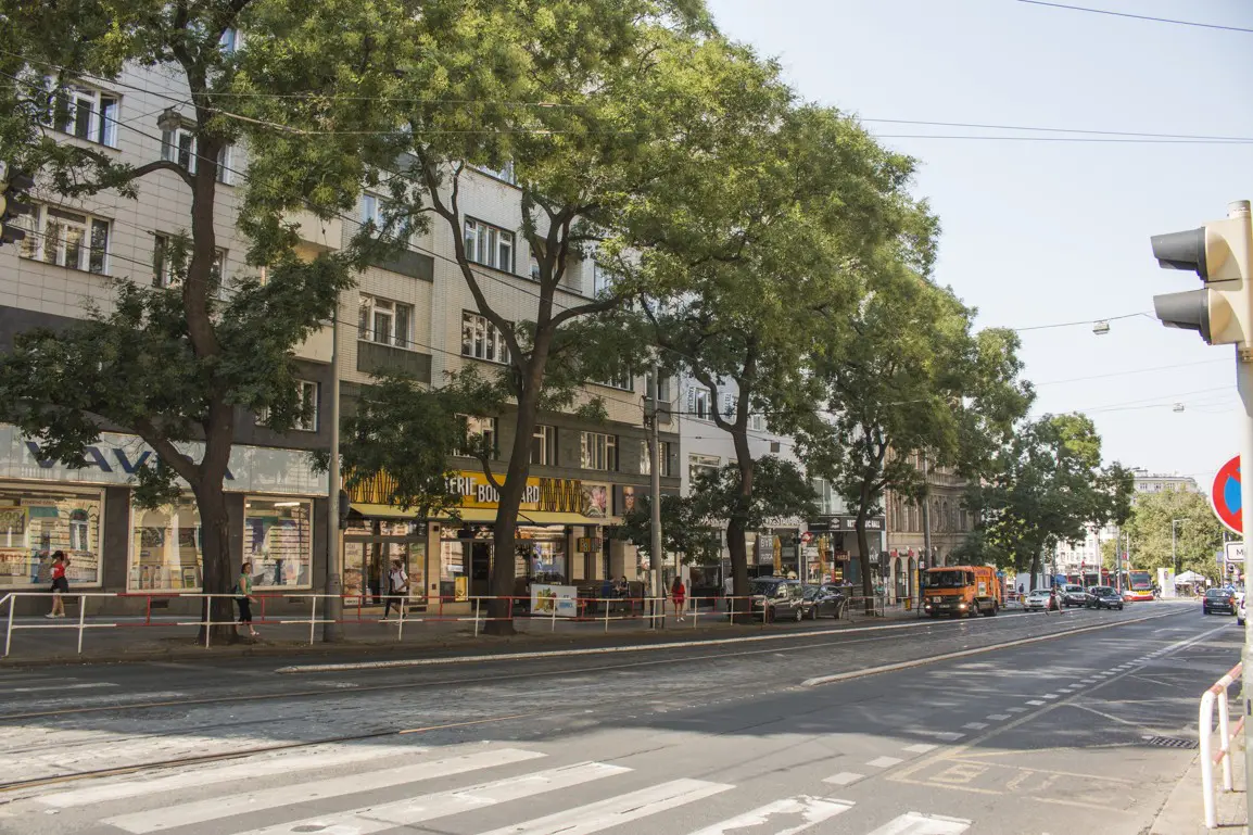 Péči o pražská stromořadí jsme předali Technické správě komunikací