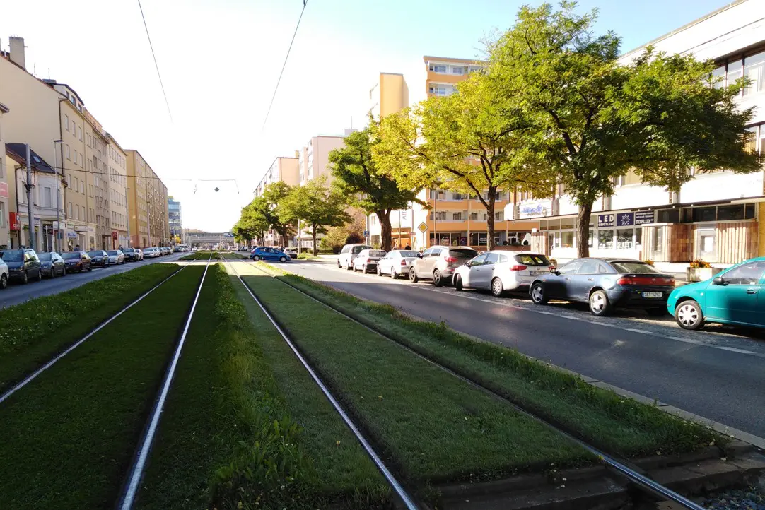 Pětice nemocných akátů ze Sokolovské zmizí. Nahradí je jerlíny a dřezovec