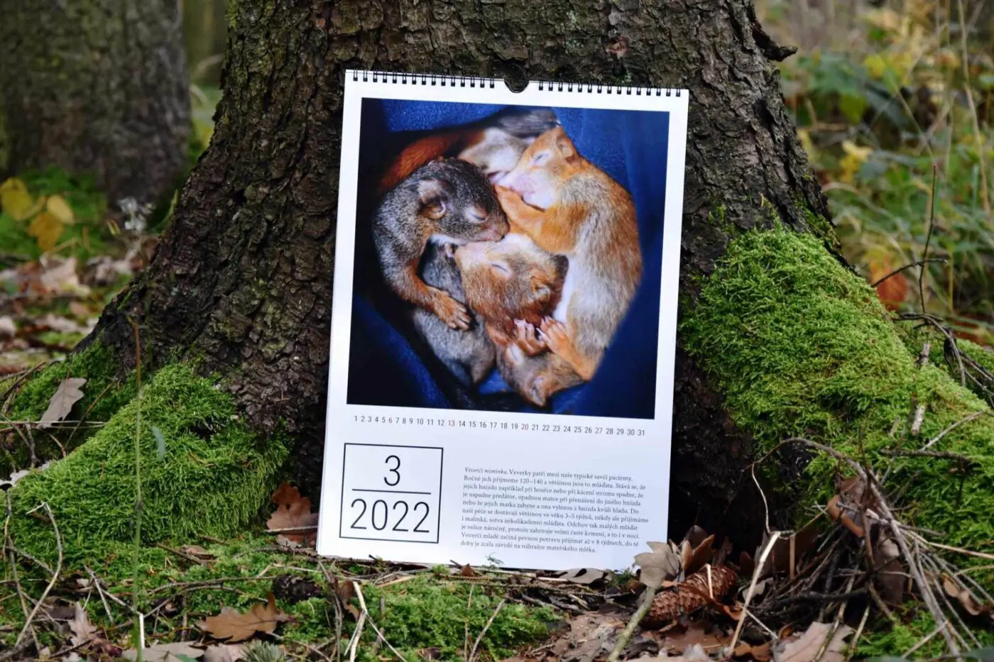 Charitativní kalendář 2022 s fotografiemi našich pacientů