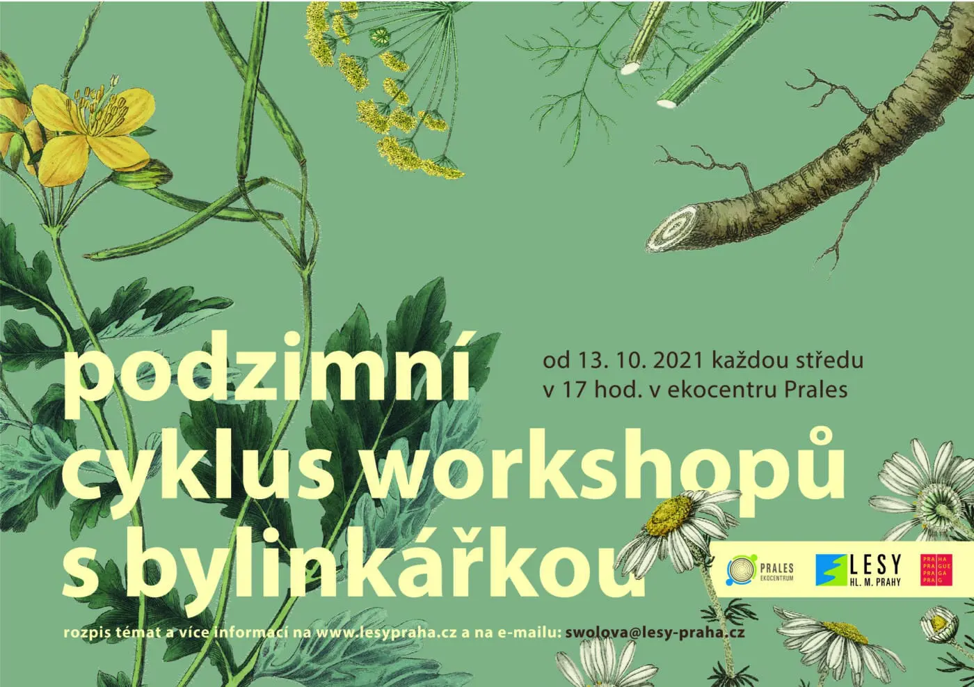 S bylinkářkou do Pralesa. Podzimní cyklus workshopů