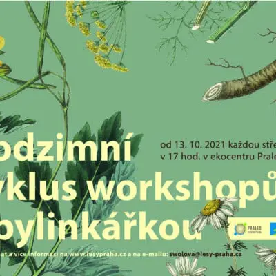 S bylinkářkou do Pralesa. Podzimní cyklus workshopů