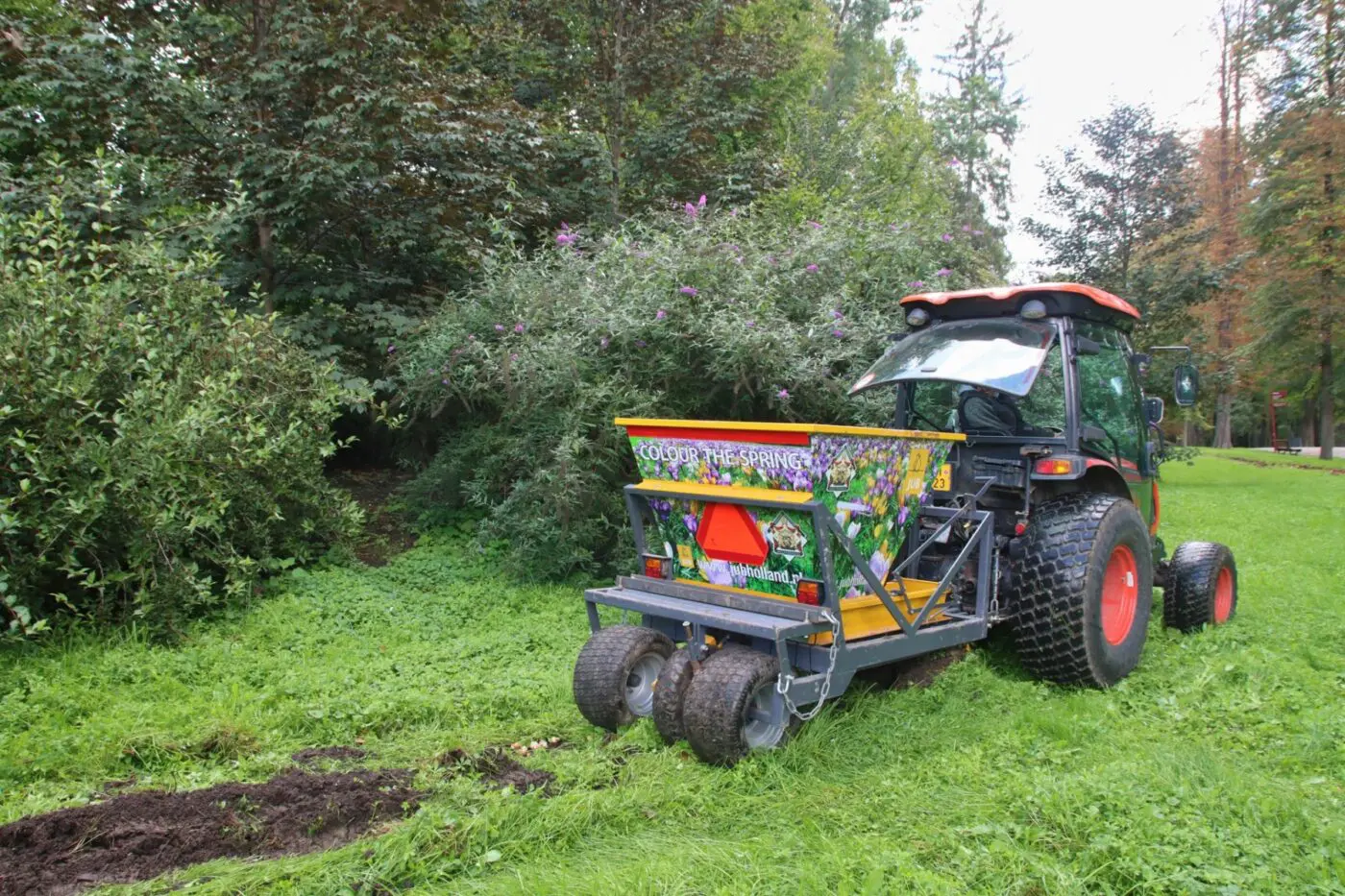 Ve Stromovce jsme vysázeli sto tisíc cibulí narcisů. Na jaře park prozáří barvy