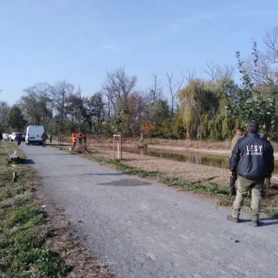 V okolí pražských vodních ploch na podzim přibylo 119 stromů a 125 keřů
