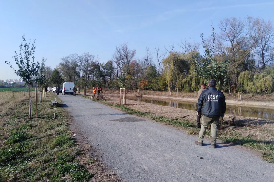 V okolí pražských vodních ploch na podzim přibylo 119 stromů a 125 keřů
