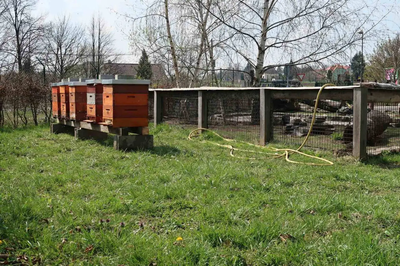 Komunitní včelnice v ekocentru Prales