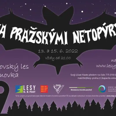 POZVÁNKA: Podvečerní netopýří výpravy do Milíčovského lesa a do Stromovky