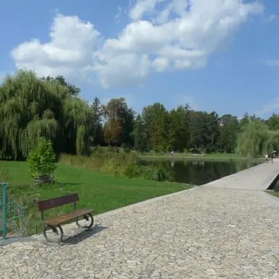 Zpevněné plochy ve Stromovce ošetřujeme ekologicky