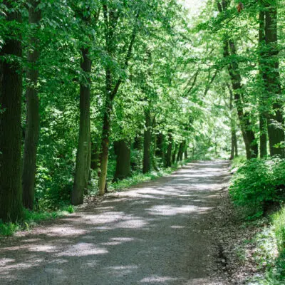 Les není zadarmo. Výtvarná soutěž k Týdnu lesů