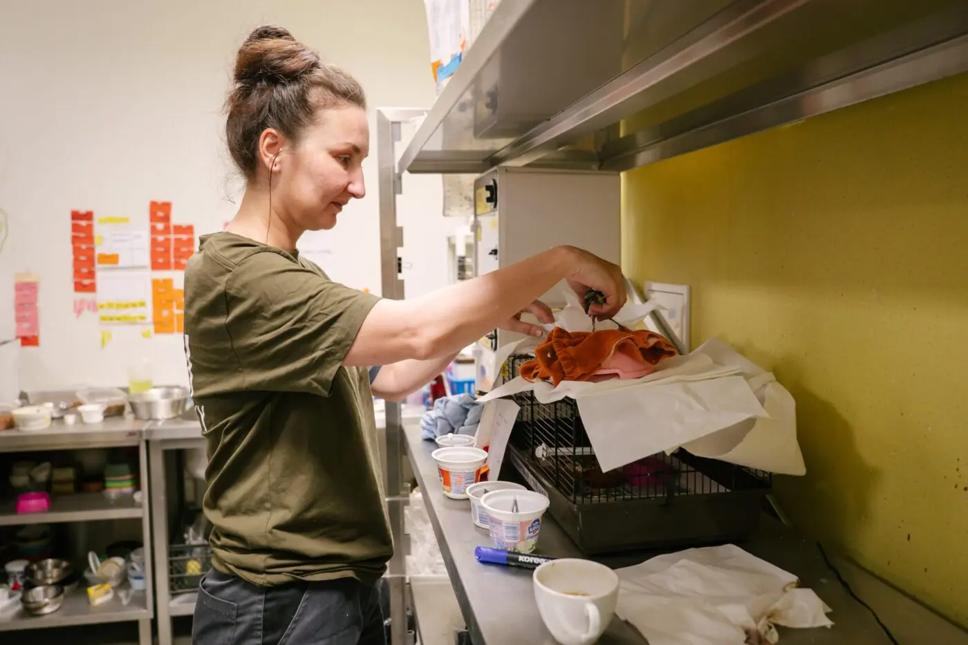 Péče o pacienty v novém areálu