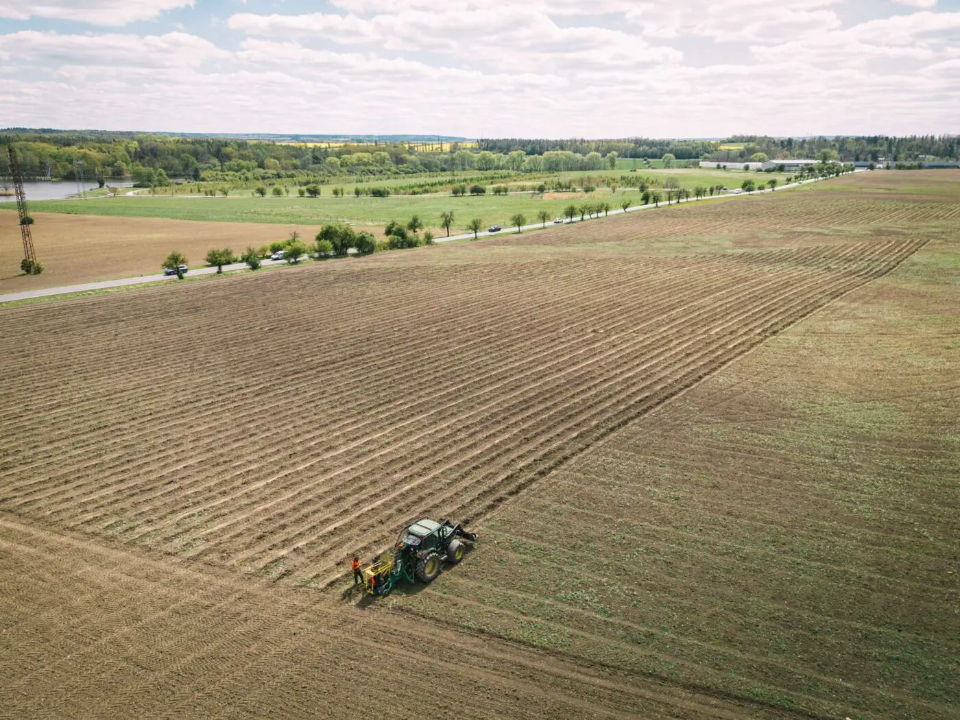Skoro 90 % lesních dřevin jsme vysadili na původně nelesních plochách.