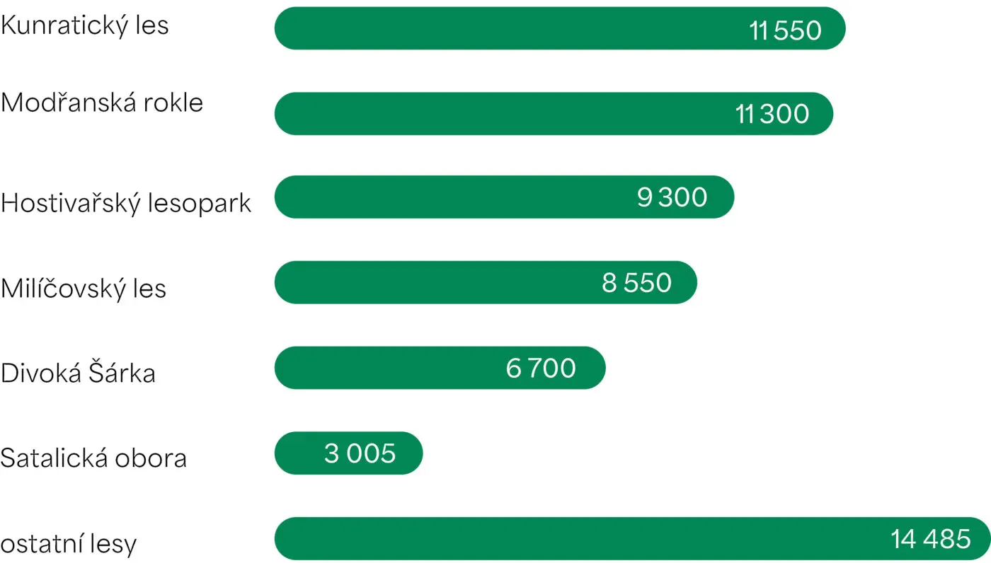 Počet sazenic vysazených v roce 2025 ve stávajících lesích