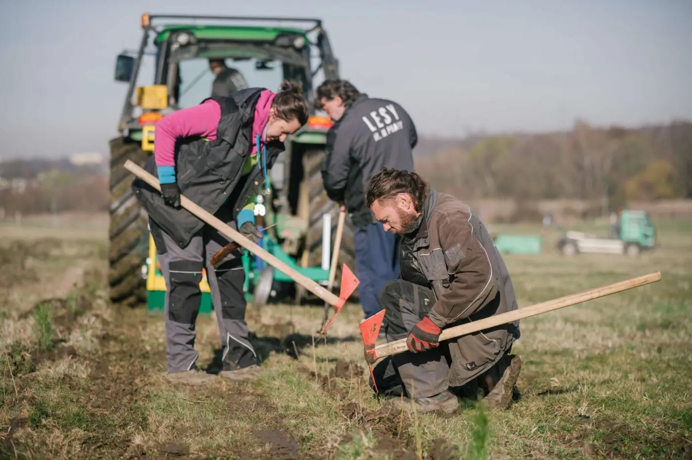 Letos opět navážeme na největší výsadbové projekty, které probíhají v posledních letech.