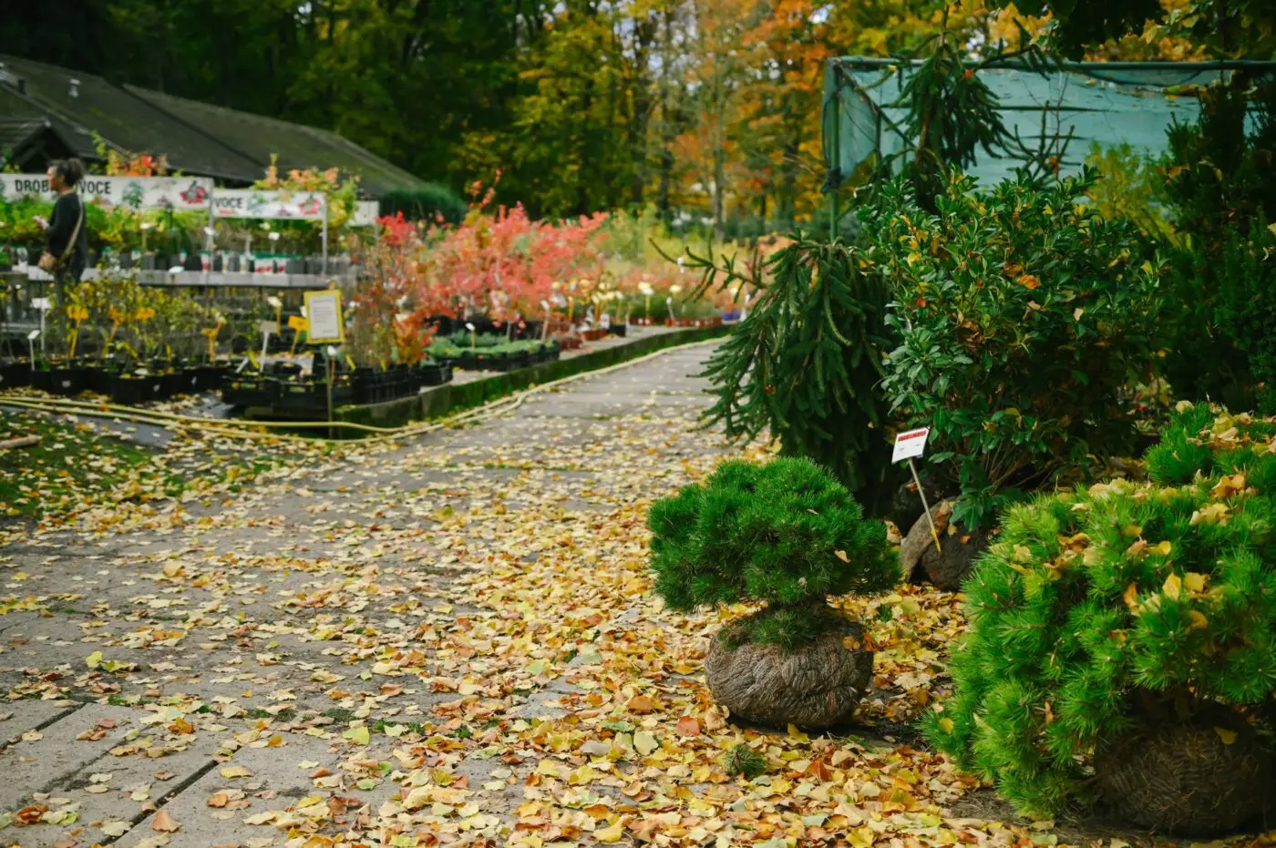 Z půdy do půdy. Právě teď je vhodný čas na podzimní sázení.
