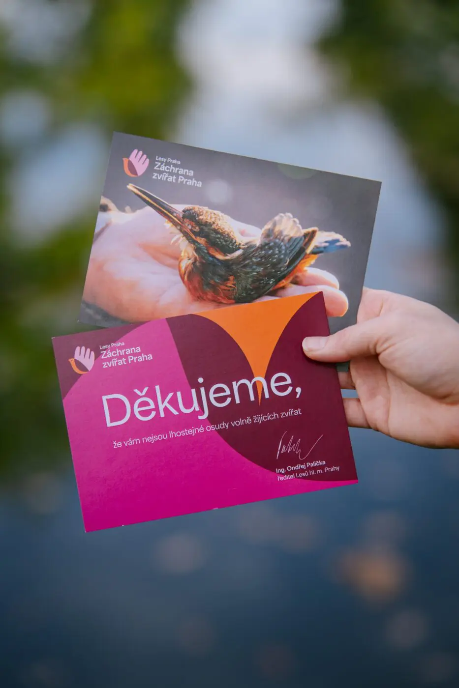 Jedno malé poděkování za velkou pomoc.