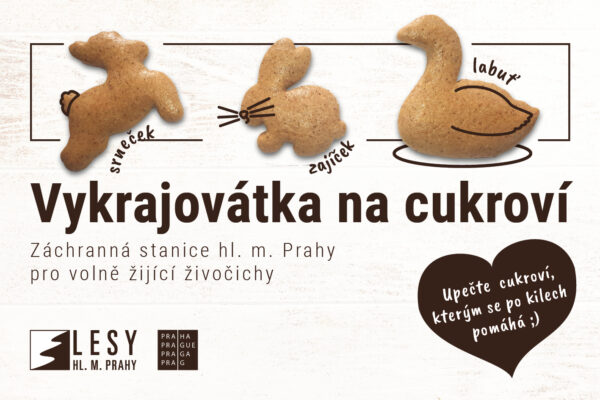 Vykrajovátka na cukroví - sada Labuť