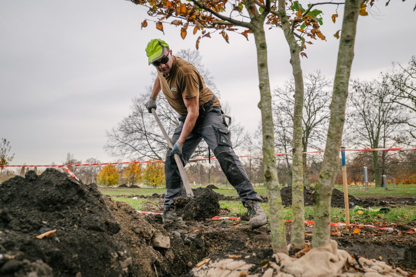 Původní zhutněnou půdu s vysokým pH prokypříme, doplníme kompostem a biouhlem nebo částečně nahradíme kvalitní hlinitopísčitou ornicí.
