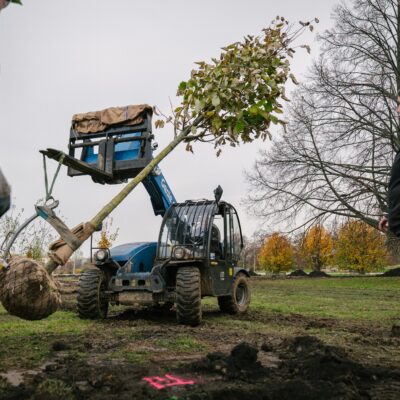 Letenská pláň pokračuje v proměně. Loni jsme zahájili projekt výsadby klimaticky odolných stromů, letos přibydou další i štěrkový trávník odolný sešlapu